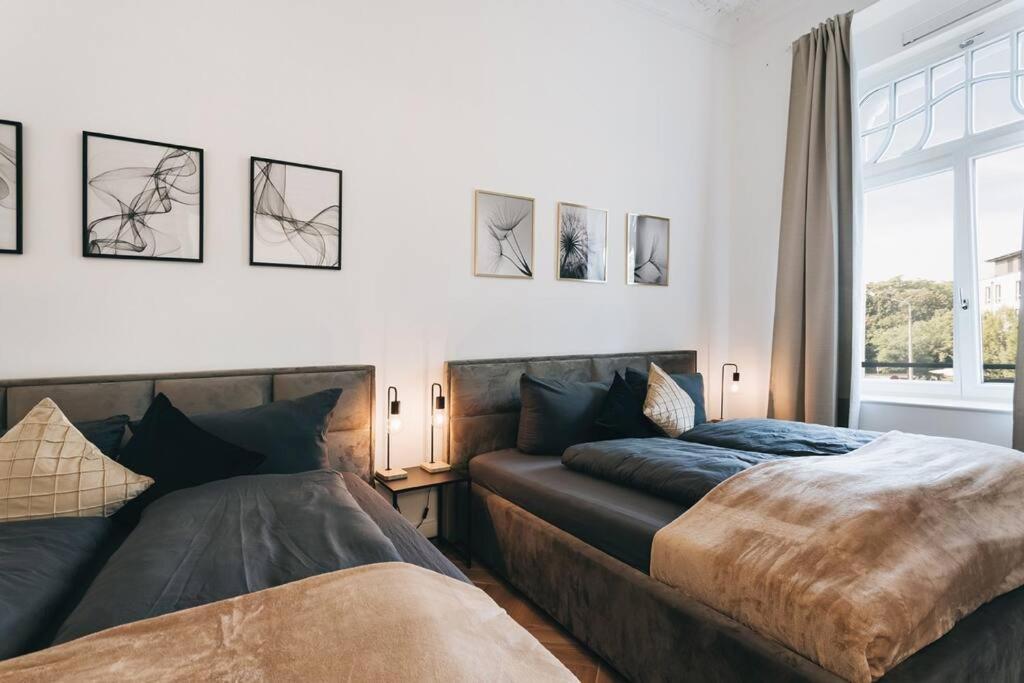 Tip! Design-Apartment In Toplage 75Qm In Szeneviertel Дрезден Екстериор снимка